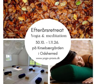 Efterårsretreat(2)