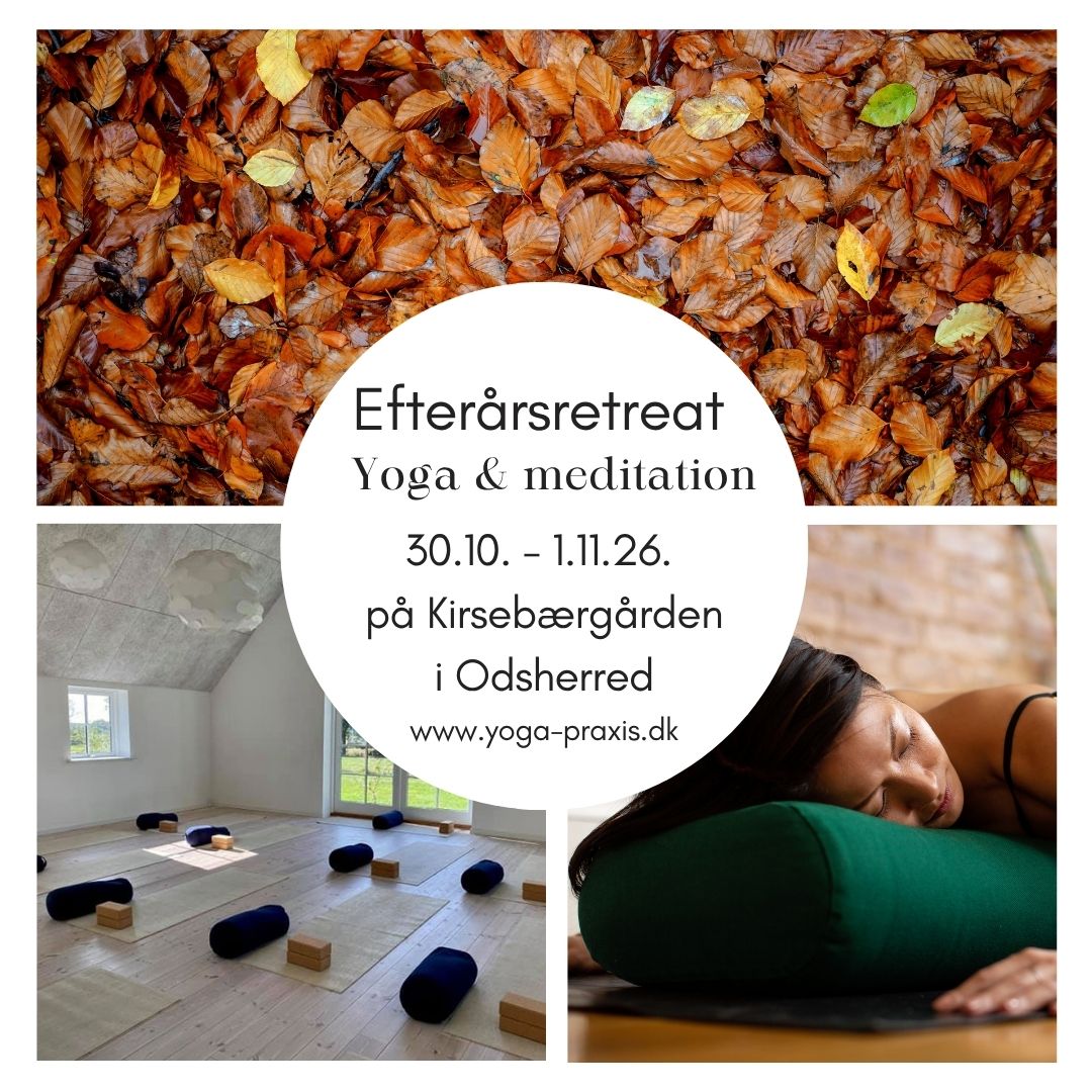 Efterårsretreat(2)